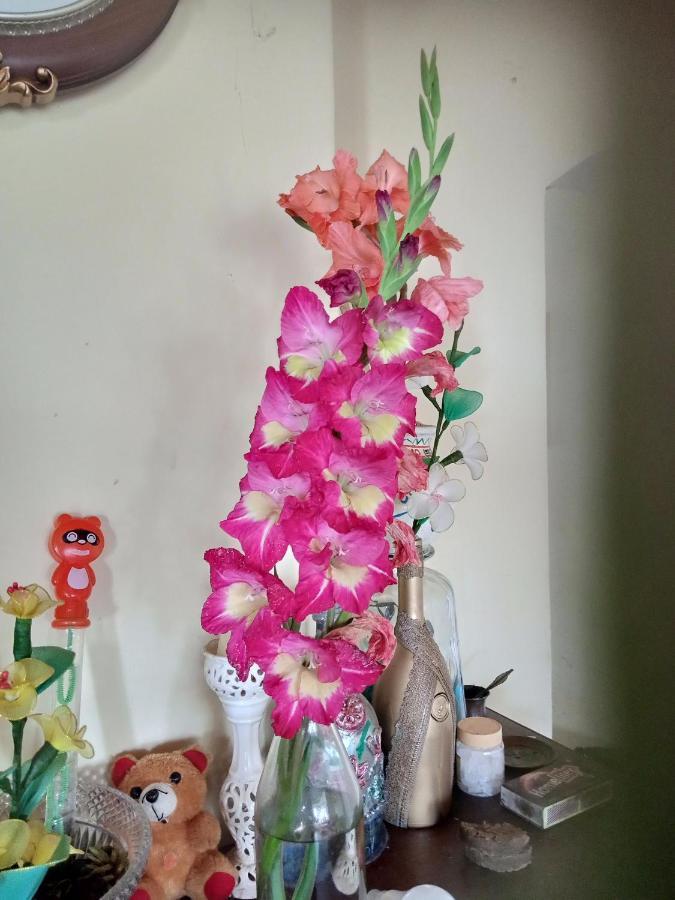Zeus Homestay Kotagiri